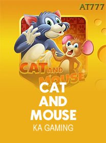 Cat And Mouse game cover